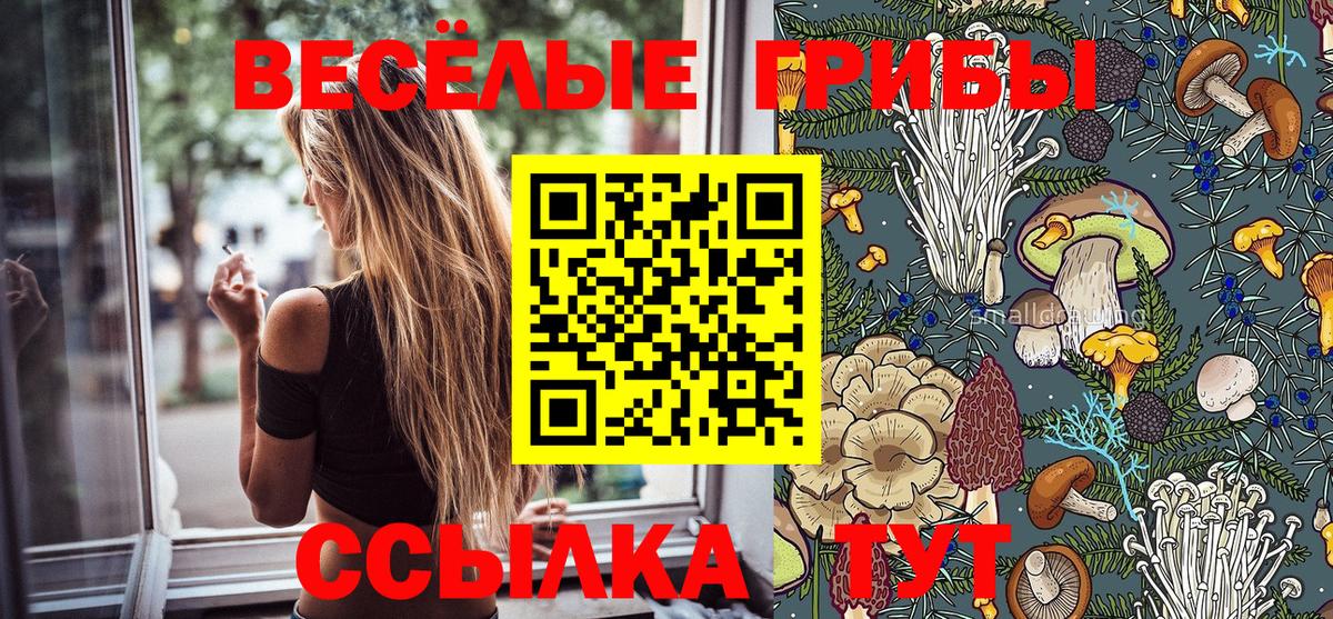 Псилоцибиновые грибы мицелий Югорск
